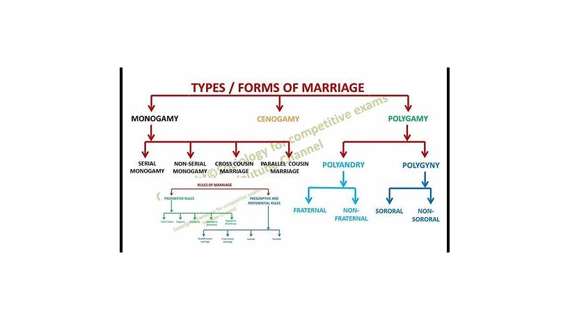 Marriage definition sociology simple