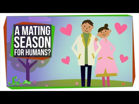 Why do animals have a mating season