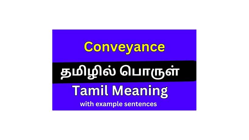 Cuddler meaning in tamil with example