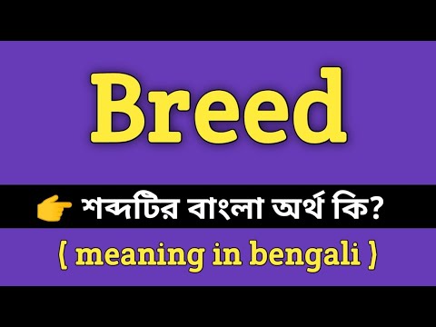 Bred meaning in bengali with example