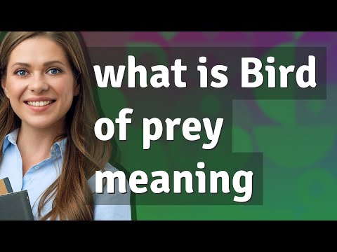 Bird of prey meaning in english