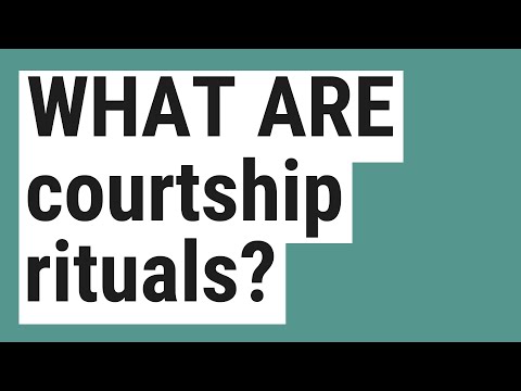 Courtship ritual meaning