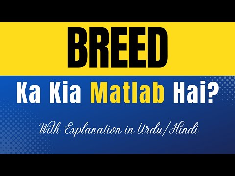 Bred meaning in urdu with example