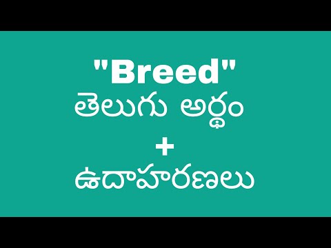 Breeding animals meaning in telugu