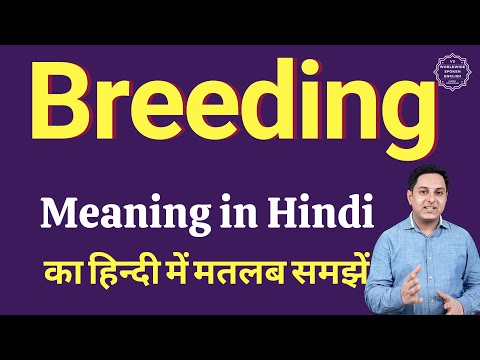 Breeding ground meaning in hindi with example