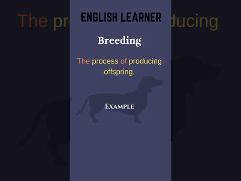Breeding animals meaning in english