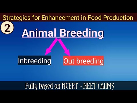 Breeding animals meaning in hindi