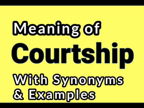 Courtship meaning synonyms