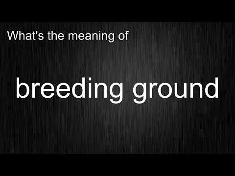 Breeding ground meaning in urdu with example