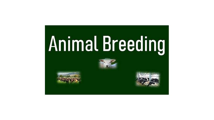 Breeder meaning in urdu
