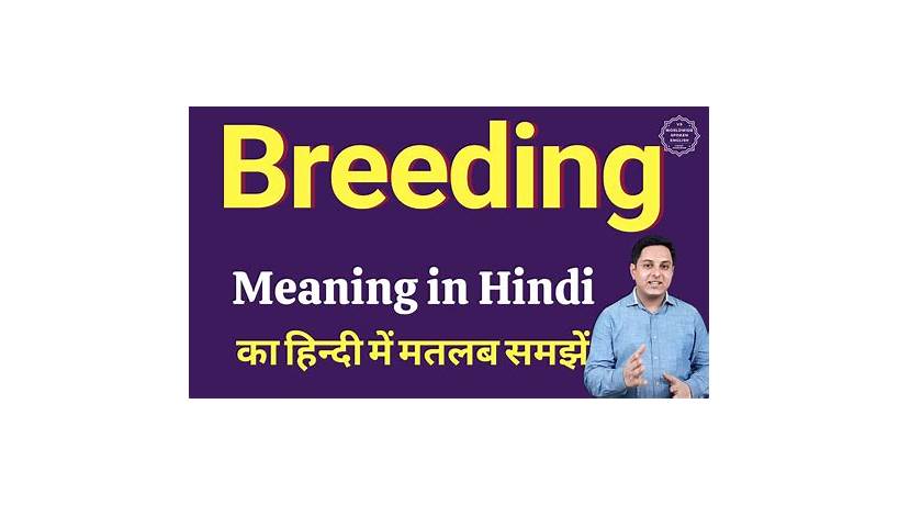 Breeding meaning in hindi and english